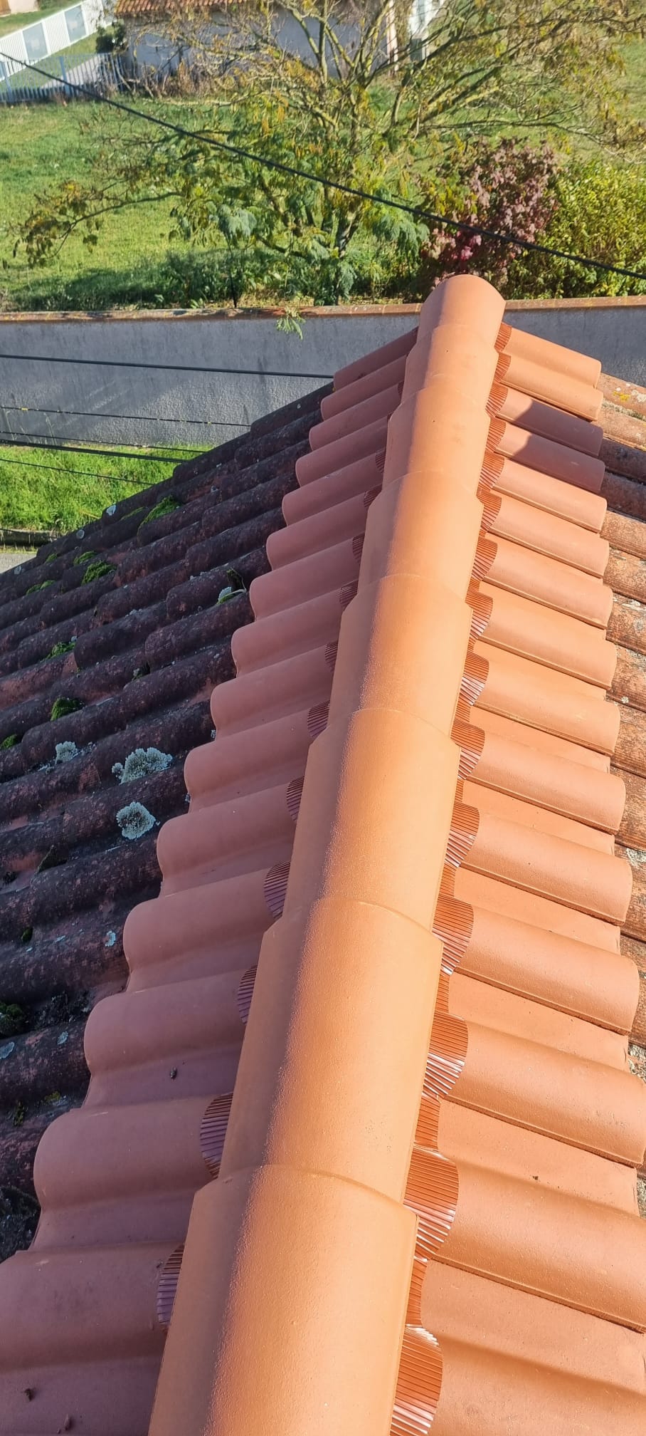 WhatsApp Image 2025-09-30 at 19.15.53 (1)