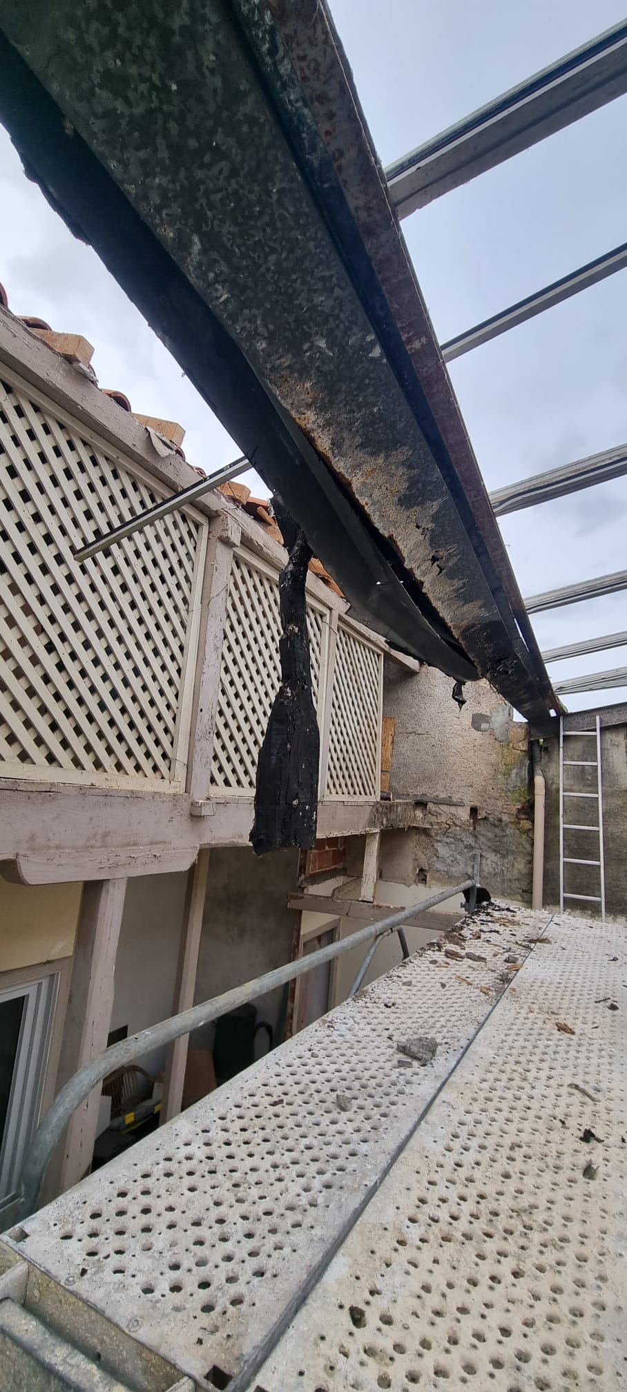 WhatsApp Image 2025-09-30 at 19.15.54