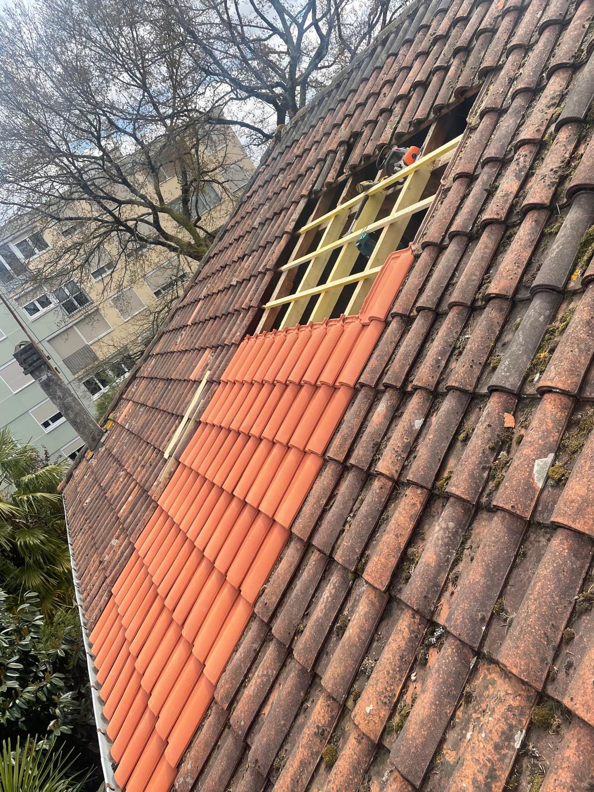 WhatsApp Image 2025-09-30 at 19.38.49